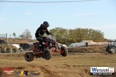 WAVO0384